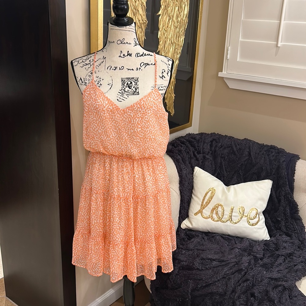 Super Cute Express - image 1